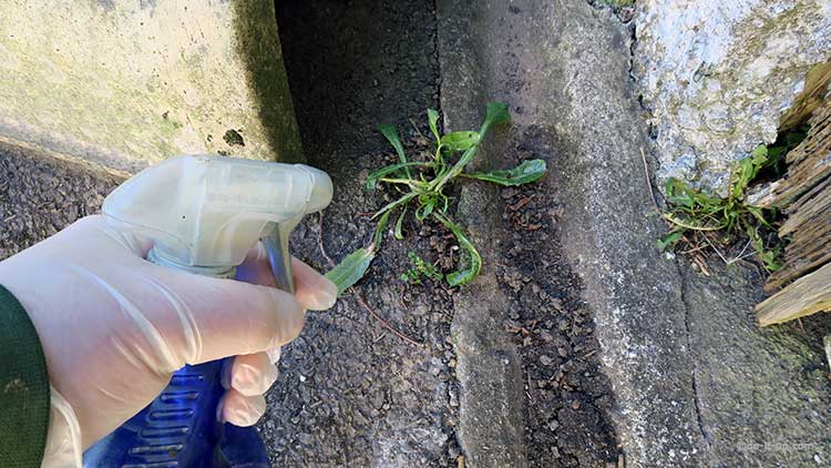 How to Repair a Driveway - Killing the Weeds
