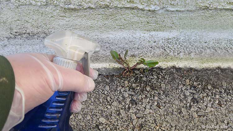 How to Repair a Driveway - Removing Weeds