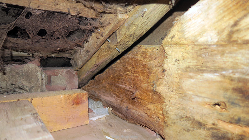 Damage Caused by a leaking Roof