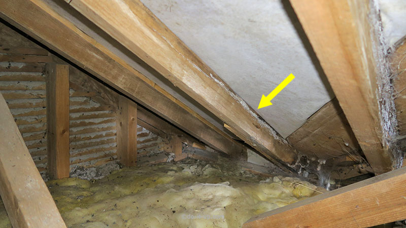 The Roof Showing Water Ingress (No Drips, Underlay Fitted)